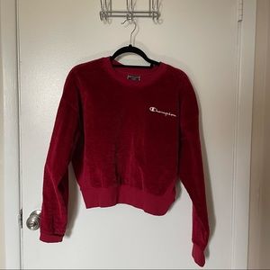 Champion Sweatshirt
